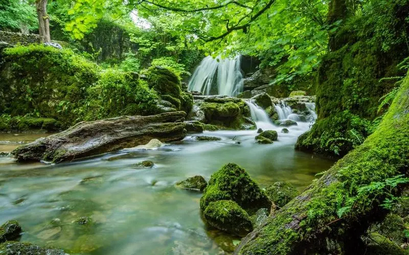 智能系统稳定性环保